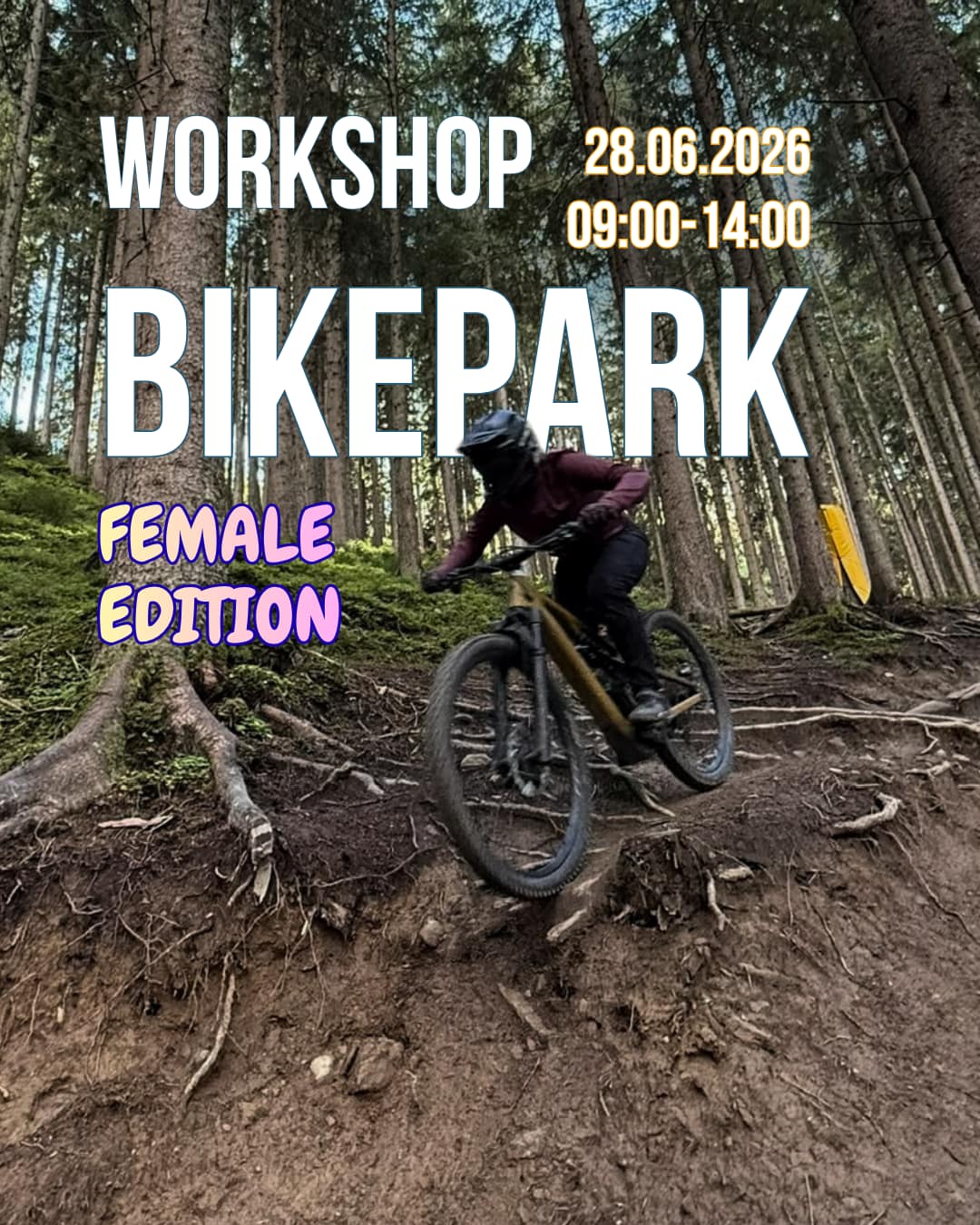 Skill Workshop: Bikepark